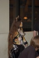 dsc_0632.jpg