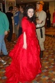 dsc_0773.jpg