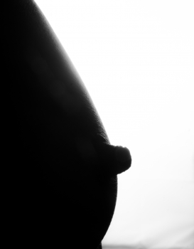 Silhouette