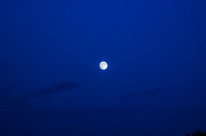 Full moon over Alchemy 2012 on burn night.